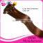 Xuchang Hair Factory Wholesale Price Remy U Tip Keratin Human Hair Extension, 100 Human Hair Extension Wholesale In The Stock