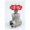 Stainless Steel Screwed blobe valve