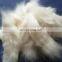 Sheep Wool Open Tops White 18.5mic/44mm for Woollen Spinning