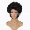 MPW-0010 carnival halloween men crazy Elvis Presley wig