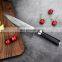 Popular Design VG10 Best Japanese Chef Knives