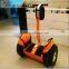 China shenzhen professional cheap smart Golf Cart Electric Bicycle