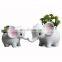 Simple outdoor gardening creative succulent flower pot Elephant ceramic flower pot