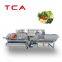 automatic cut/slice vegetable salad flow packing machine with CE