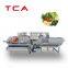 1000KG/H Full Automatic stainless steel 304 industry vegetable and fruits washing processing line