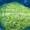 2020 crop 10mm 20mm IQF Frozen Diced Broccoli Stalk