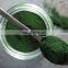Natural Blue Pigment Spirulina Extract Phycocyanin Powder
