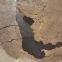 factory supply road pothole quck repaid cold mix