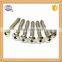 Stainless steel wood screw self tapping screw