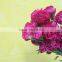 Various promotional flower arrangements fresh cut flower carnation