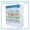 Static Cool Three Glass Door Drink Fridge