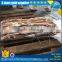 Frozen argentina squid price for tuna fishing