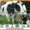 High tensile strength galvanized field fence/sheep fence/grassland fence