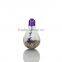 Clear Bulb Shape Hanging Wishing Glass Bottles,Glass Drift Jars With Message