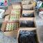 different types oil seals manufacture of China