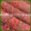 Hot sale various high quality lace embroidery fabric factory Wholesale