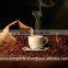 India High Quality Roasted Arabica / Robusta Coffee Beans for best price