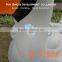 Low MOQ wholesale stock pool float inflatable swan for fun