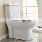 Sanitary Ware Washdown S-trap 250mm Saso Toilet Bowl One Piece wc Toilet