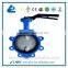 Center-line Type Lug Type Butterfly Valve