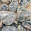 Natural Kyanite Mineral Stone Crystal Rough Stone Geodes For Sale