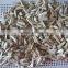 Supply Roasted Salted Sunflower Seeds With Different Type
