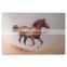ROYIART Original Horse Oil Painting on Canvas of Wall Art #12112