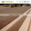 Profitimber Raw Large Size 5x10 Plywood