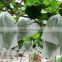 Junyu agriculture nonwoven fabric protect plants in horticulture, vegetable gardening and fruit farming