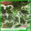 Artificial leaves for decoration