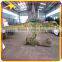 KANO2542 Customized Attractive Dinosaur T Rex Ride For Kid