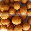 HACCP Certified Wasabi Coated Peanuts
