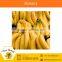Farm Fresh Banana With Instant Energy Source From Reputed Company