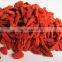 Wholesale Goji Berries