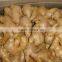 Fresh mature ginger