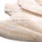 automatic cuttlefish peeling machine/sleeve-fish skinning machine