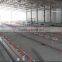 hot sale modern chicken shed broiler breeding house