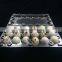 Hot sale 24 hole plastic pvc clear quail egg packing tray /quail egg cartons for sale