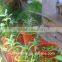 Garden irrigation drip irrigation system watering systems