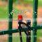 Drip irrigation 1/4 Inch Vinyl Brown Micro Tubing with .245 OD soaker hose