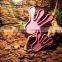 Small purple footprint plastic insulated water and food bowl for reptile and pet