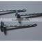 1"*11G Galvanized Umbrella Head Plain and Ring Shank Roofing Nail (factory)