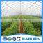 Agricultural Used Greenhouse Equipment For Sale