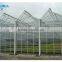 Multi-span Glass Agricultural Greenhouses For Sale/Used For vegetable