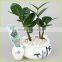 Hanging flower pot,flower pot stand,plastic planter