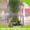 Professional Design Plant vertical wall