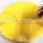 Fashion Cheap Lady Party Hat with Feather