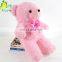 OEM High Quality Stuffed Soft Plush LED Toys Night Lighting Bear
