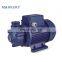 Cheap price vortex series surface water booster water pump