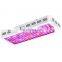 Upgrade Double Chip Full Spectrum 2000W LED Plant Light Grow Bloom Light